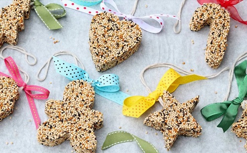How to Make Bird Food Ornaments: DIY Ideas and Tips